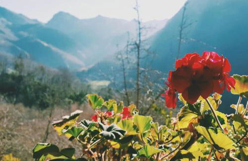 Sol de Asturias - Foto 1