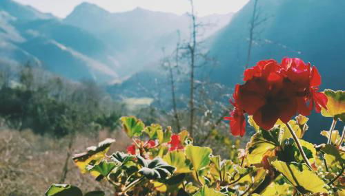 Sol de Asturias - Foto 1