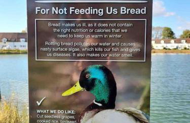 Liming Lodge - Lakeside Home in the Cotswolds - Foto 35