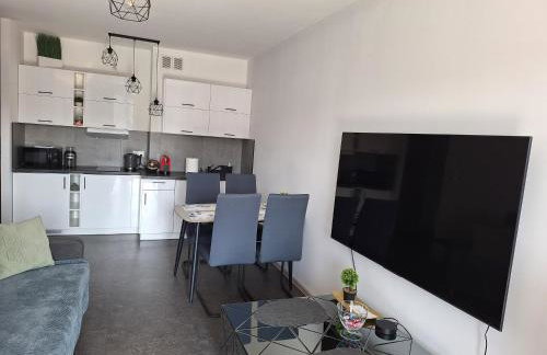 Apartament Śląskie Silesia - Foto 14