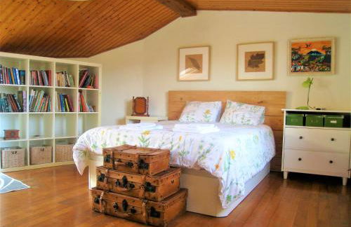 Os Carrís - Foto 27