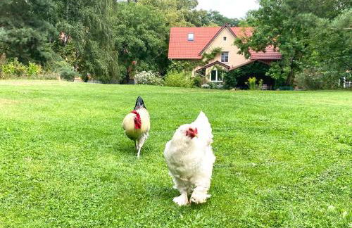 Villa Kersdorf - Foto 24