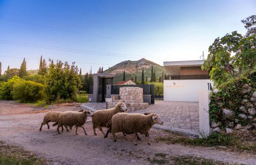 Alba Garden - Foto 33