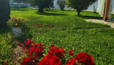 BLUE HOUSE - Photo 4