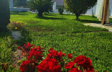 BLUE HOUSE - Photo 4
