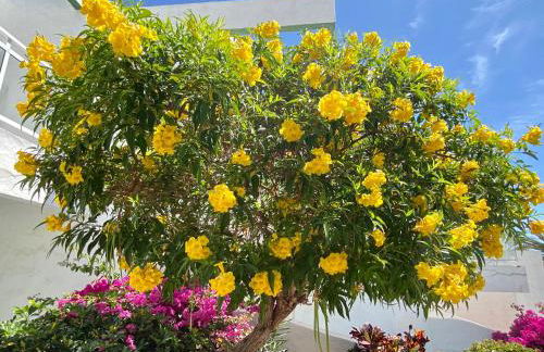 Apart-hotel Acapulco Ocean View - Foto 43