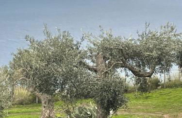 Bouganville in Villa Greco - Foto 33