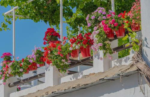 Apartamentos Rurales Las Chimeneas - Foto 1