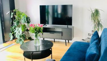 Luxury 2 bedroom apartment 20 min from central London - Foto 4