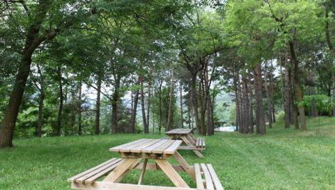 Casa de Colònies Vall de Boí - Verge Blanca - Foto 3, Garden