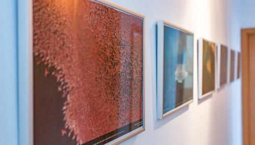 Cabanas Beach Penthouse - Foto 5