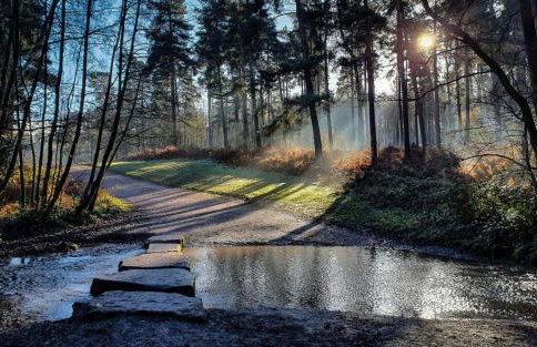 Woody Bank 3 Bed Sleeps 5 Parking WiFi Contractors - Foto 22