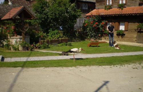 Apartments Iža Na Trem - Foto 22