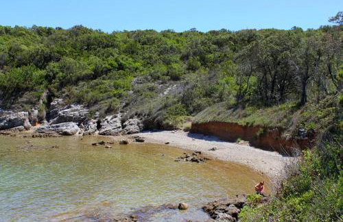 Apartments with parking space Sveti Jakov, Losinj - 8011 - Foto 6