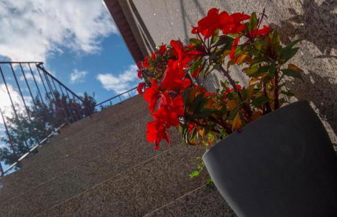 Casas do Prazo - Turismo Rural - Photo 54