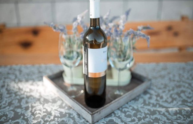 Solar House Babina 1 - Photo 13