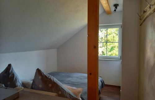 Ferienwohnungen Nibelungenwald - Foto 104