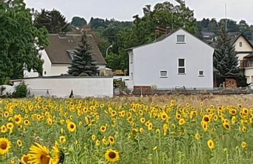 Haus im Grünen - Foto 39