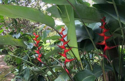 Casa de Campo & Home Office - Itapecerica da Serra , perto do Embu das Artes - Photo 26