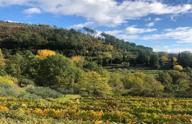 Authentic Stone Mas Retreat - Foto 39