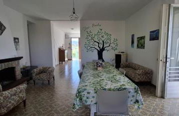 Olivo Macchia - Foto 14