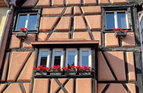 Gite Edelweiss à Eguisheim - Foto 11