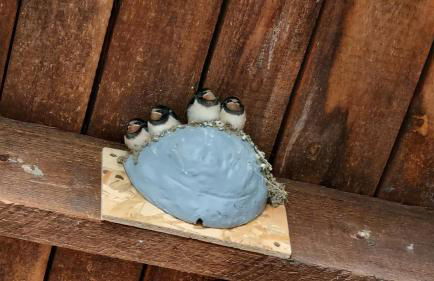 Ferienwohnung Kirsten - Foto 57