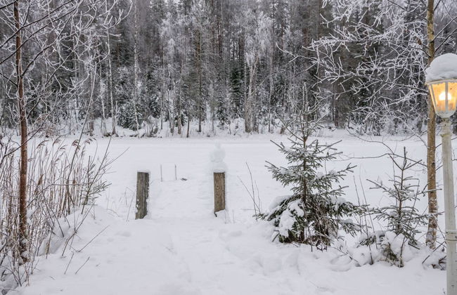 Mäntyrinne - Foto 10