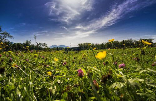 Mountain Apartment The Art to live Perfect for Vacationers - Foto 20