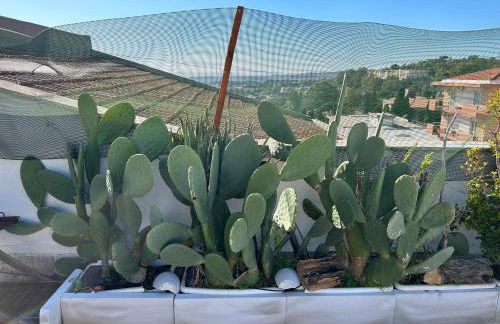 Residenza Parco Gioeni - Foto 15