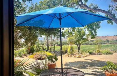 Hilltop Vineyard and Agave Field with View - Photo 2