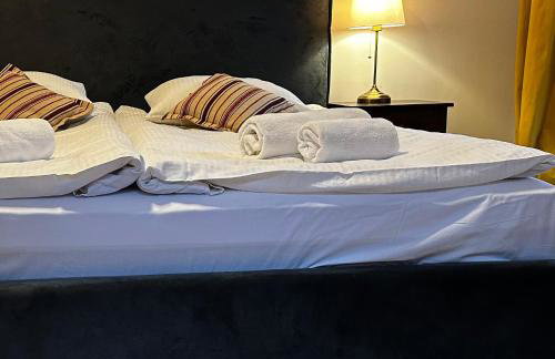 Dom Puchacza w Lądku-Zdroju - Foto 15