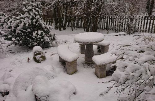 Im Buchenwäldchen - ruhig gelegenes Haus in der Natur für bis zu 12 Personen - Foto 42