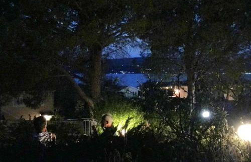 Despina Studios and Apartments - Photo 50