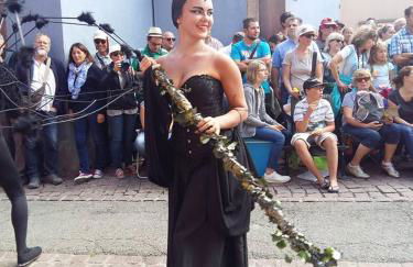 La Maison des Tanneurs - Foto 52