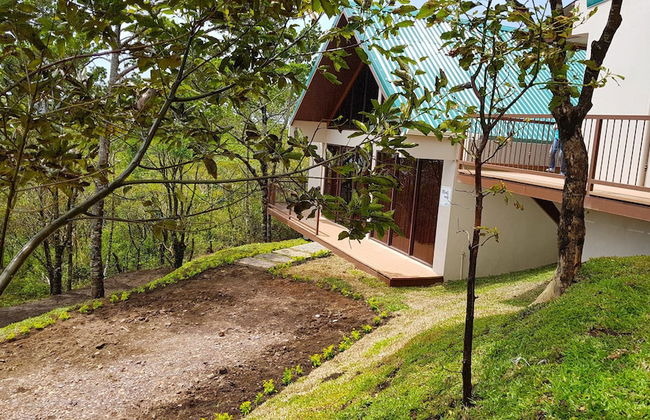 Green Forest Vacations Homes - Foto 20