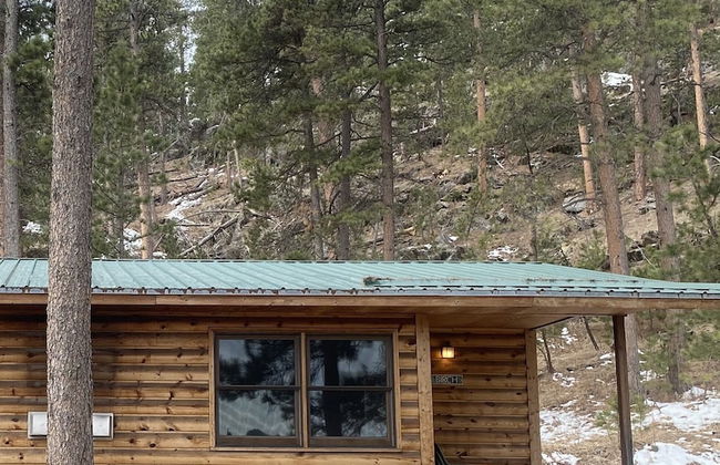 Pine Rest Cabins - Foto 64