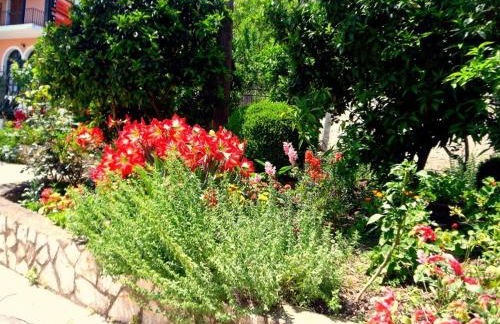 Galini Beach Studios and Penthouse - Foto 39