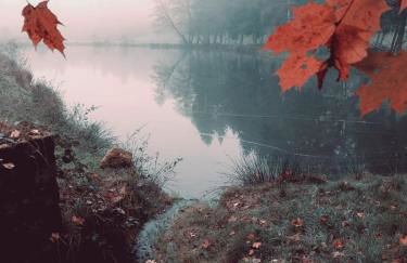 Gîte Sous le marronnier jusqu'à 10 personnes - Foto 22