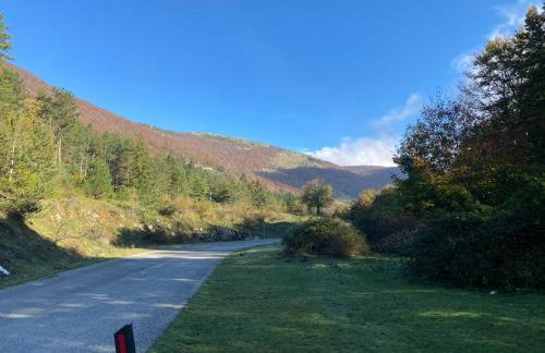 La casa nel bosco-Val Granara guesthouse - Foto 26