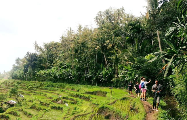 Bloo Lagoon Eco Village - Photo 58