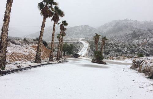 Casas y Cuevas El Solins - Foto 70