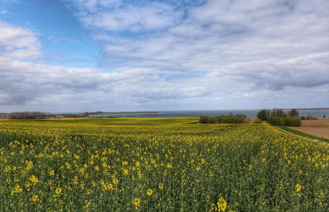 Bungalow in Boiensdorf for 4 Person - Foto 32