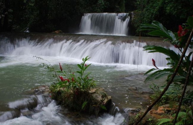 Chukka Appleton Estate y tirolesa sobre YS Falls - Negril - Foto 7