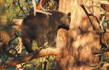 Hot Tub Family Friendly Garden City Getaway - Foto 28