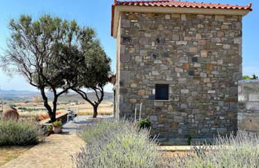 Paliokaliva Home - Foto 70