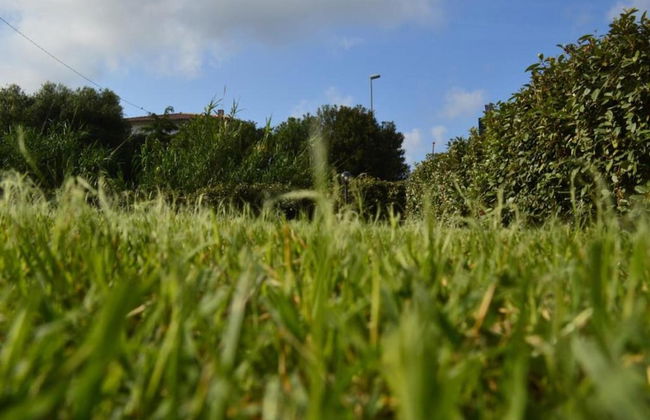 Apartment in Sos Alinos Near Sardinian Beaches - Photo 40