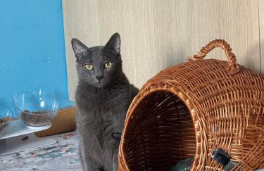 Kalosýni Holiday Home Lefkada - Foto 11