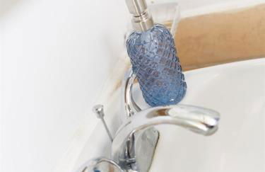 Big gated yard, Work play room, King bed - Foto 12