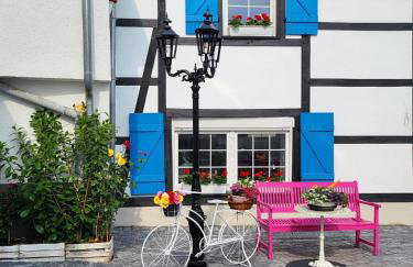 NY-GOLDEN APARTMENTS-Dortmund Airport - Foto 30